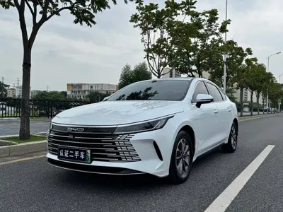 BYD Destroyer 05