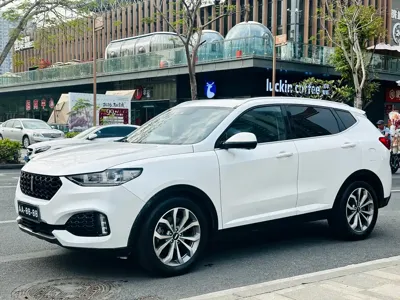 WEY Wey VV6