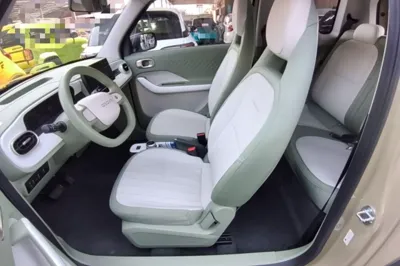 Geely Galaxy Panda