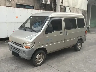Wuling Zhiguang