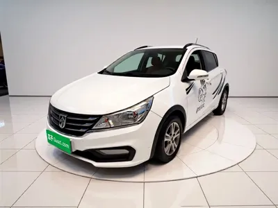 Baojun 310