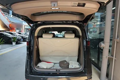 Denza D9