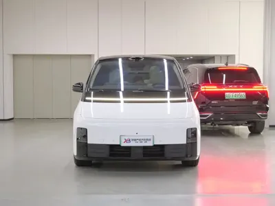 Li Auto Li MEGA