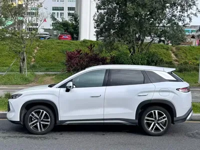 BYD L DM-i