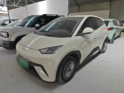BYD Seagull
