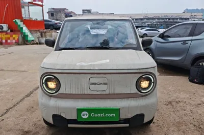 Geely Galaxy Panda