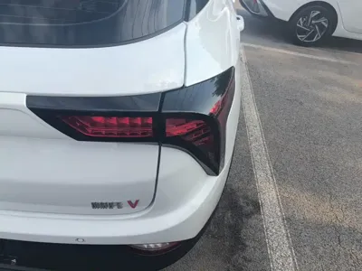 NETA Neta V