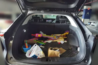CHANGAN OSHAN Z6