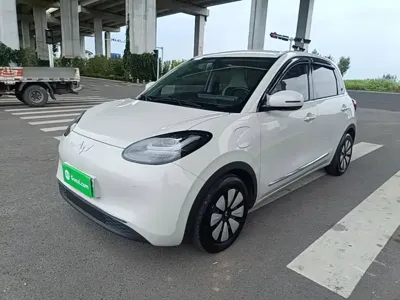 Wuling Bingo