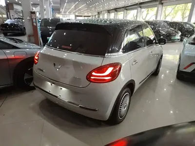Wuling Bingo