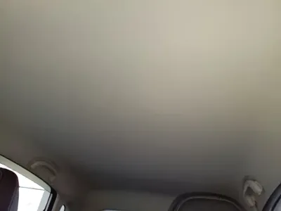 NETA Neta V