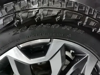 Haval Big Dog