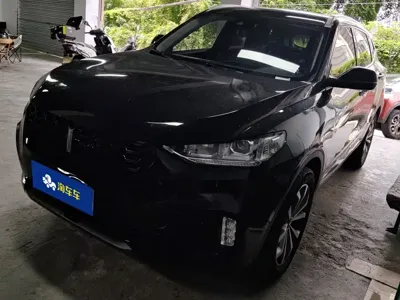 WEY Wey VV6