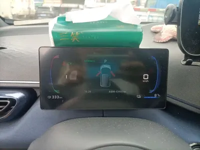 BYD Seagull