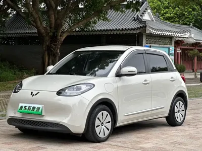 Wuling Bingo