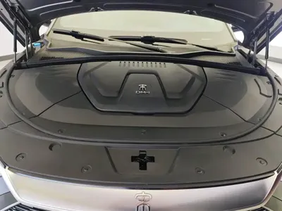 BYD PLUS New Energy