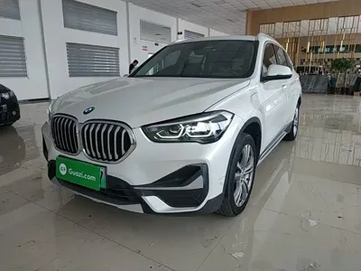 BMW X1 New Energy