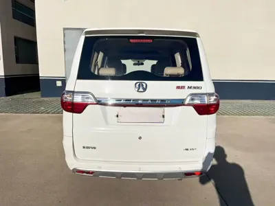 BAW Weiwang M20
