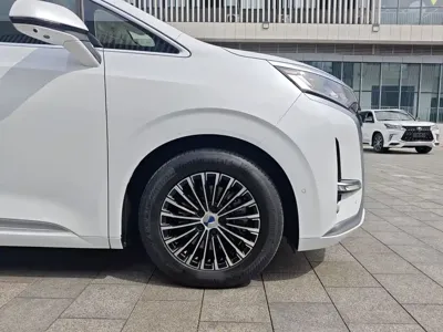 Denza Denza D9