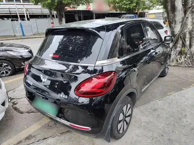 Wuling Bingo
