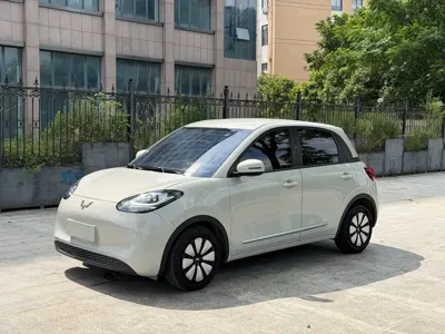 Wuling Bingo