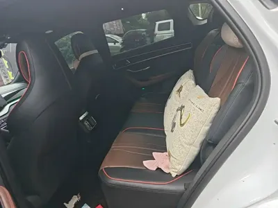 BYD PLUS