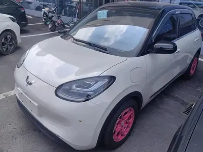Wuling Bingo