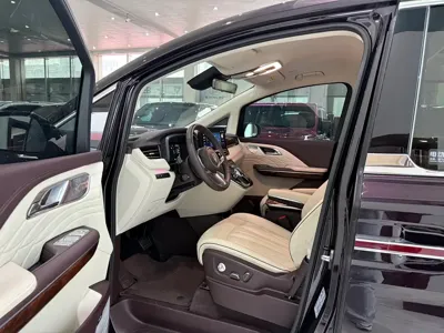Hongqi Hongqi HQ9