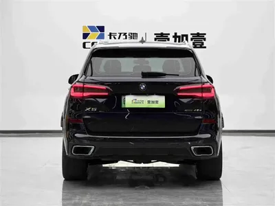 BMW X5 New Energy (Import)