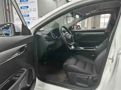 Geely Binrui
