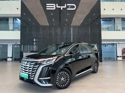 Denza Denza D9