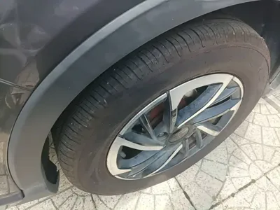 NETA Neta V