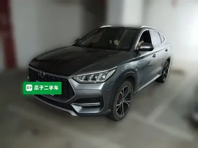 BYD PLUS