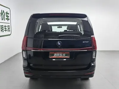 Fengxing Fengxing M7