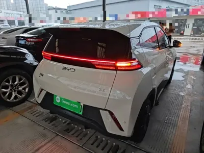 BYD Seagull