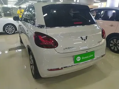 Wuling Bingo