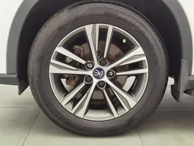 BYD Pro