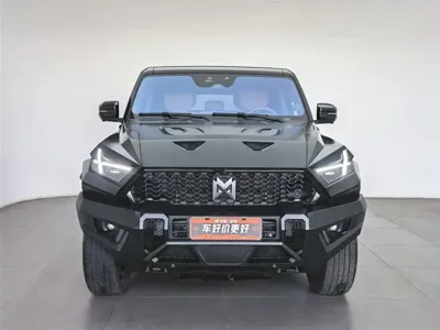 Mengshi Mengshi 917