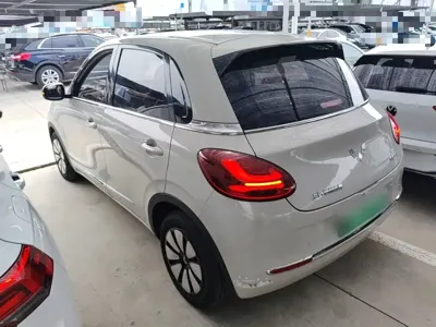 Wuling Bingo
