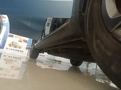 NETA Neta V