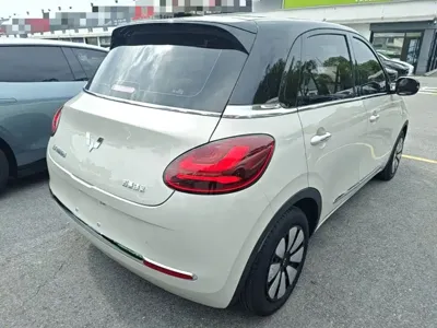 Wuling Bingo
