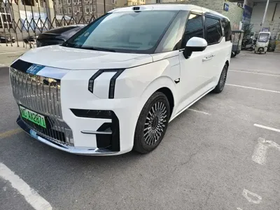 Zeekr 009