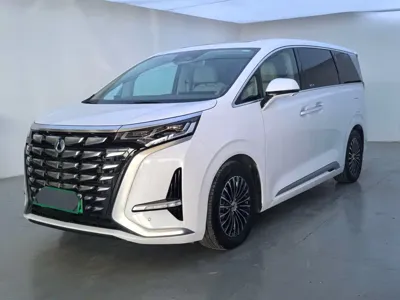 Denza Denza D9