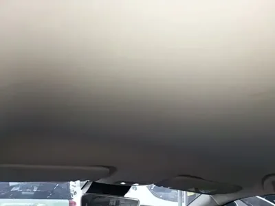 NETA Neta V