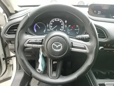 Mazda CX-30 EV