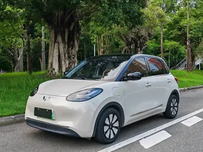 Wuling Bingo