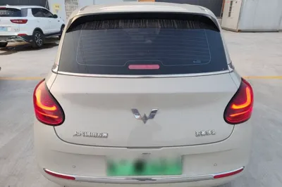 Wuling Bingo