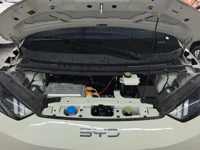 BYD Seagull