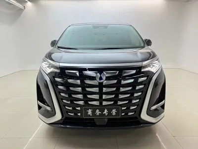 Denza Denza D9