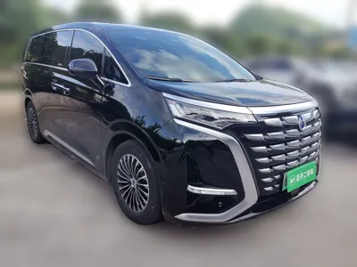Denza D9